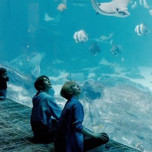 Meet your Posher, Katrina